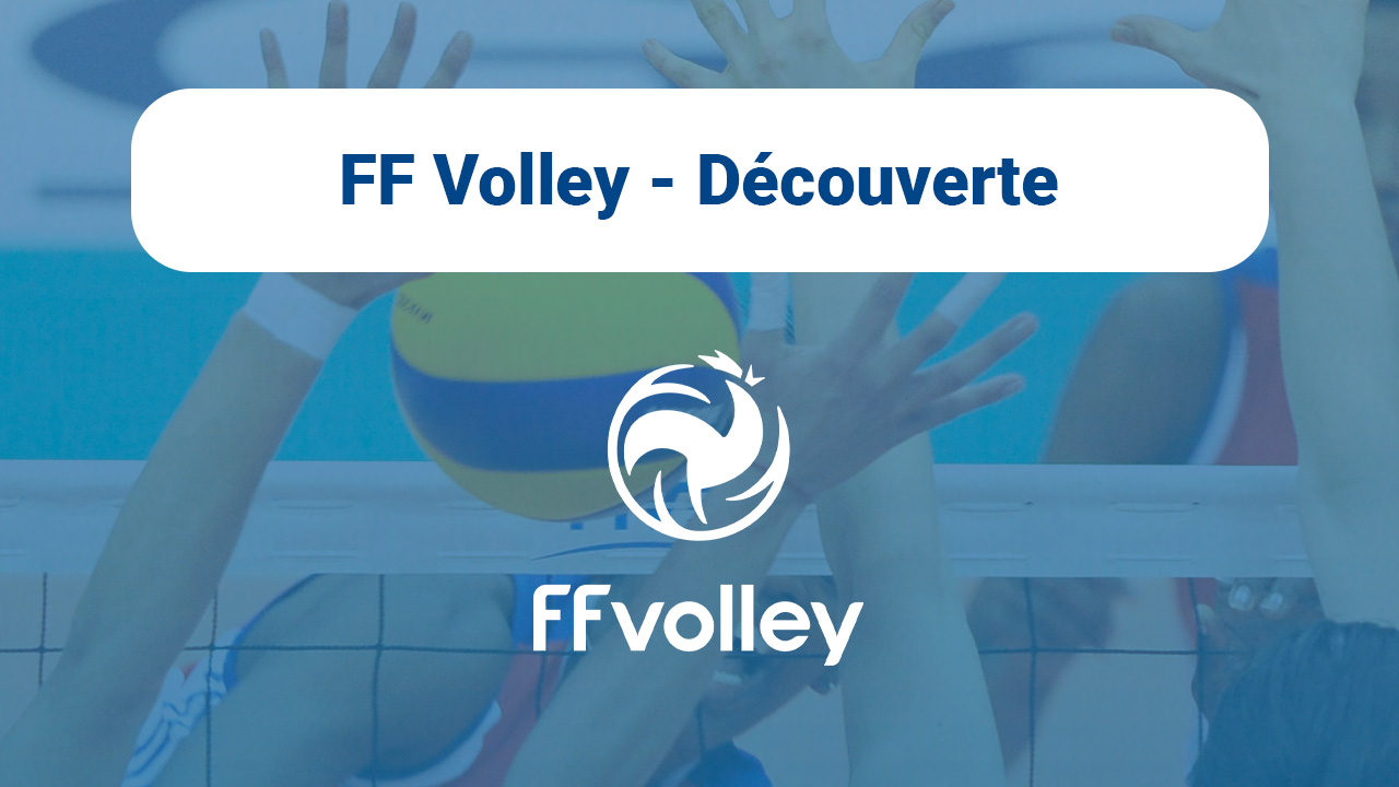FF Volley